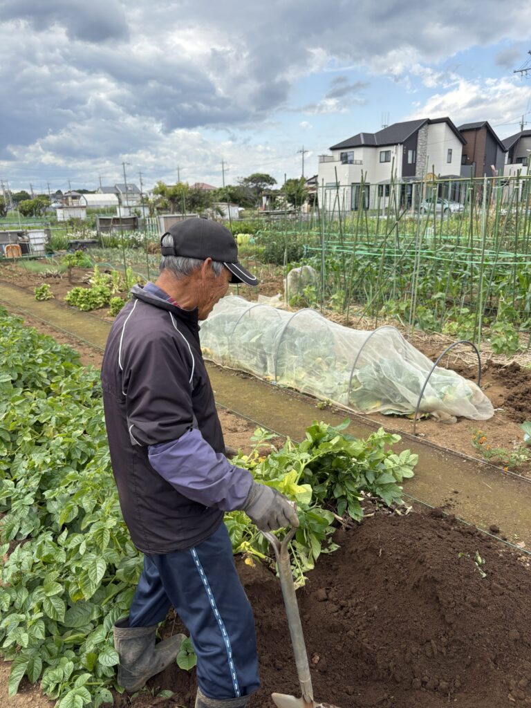 畑で作業する高齢の男性